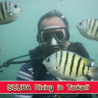 SCUBA Diving in Tarkarli